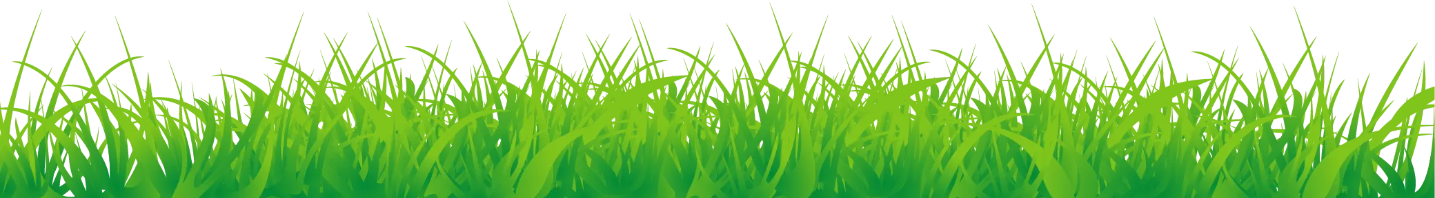 Gras